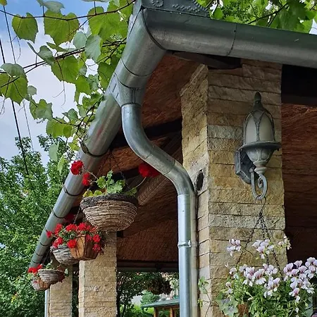 Отель Prezident