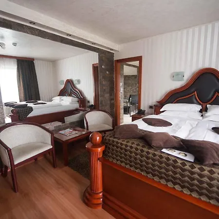 Отель Prezident Сремски-Карловци