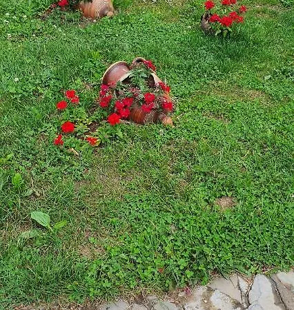 Prezident فندق 4*