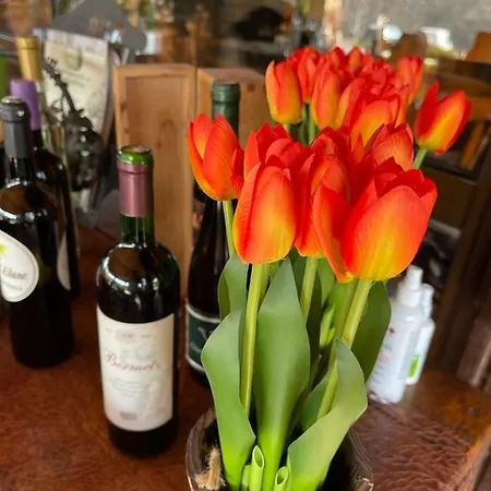 Отель Prezident 4*