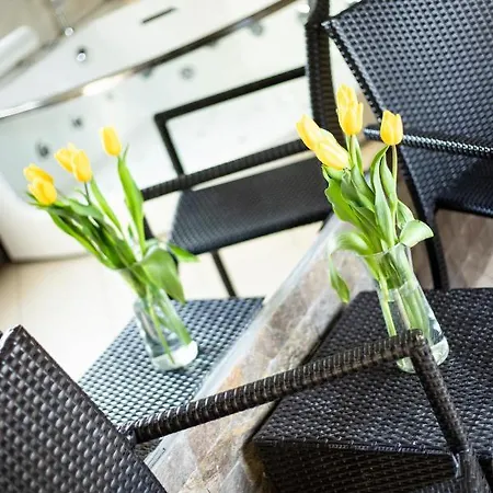 Prezident سرمسكي كارلوفيتش