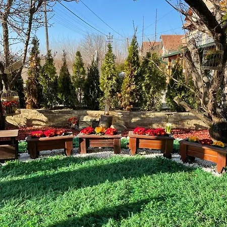 Отель Prezident 4*