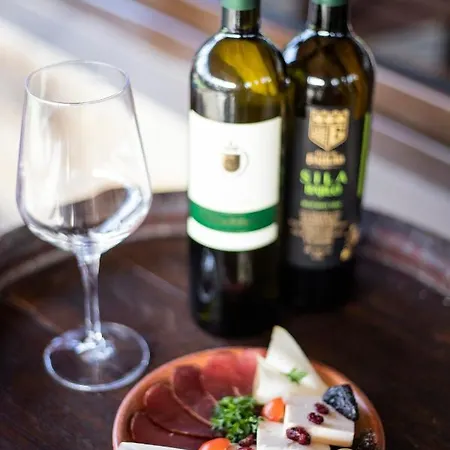 Prezident فندق سرمسكي كارلوفيتش