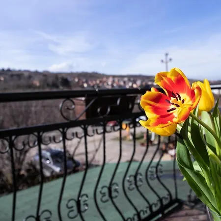 Prezident 4* Сремски-Карловци